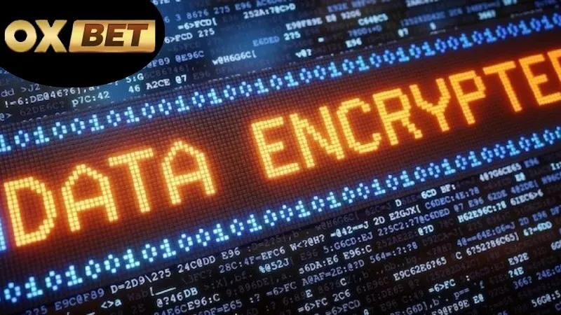 Mã hóa dữ liệu OXBET – Bảo vệ thông tin tuyệt đối 7 Mã hóa dữ liệu OXBET